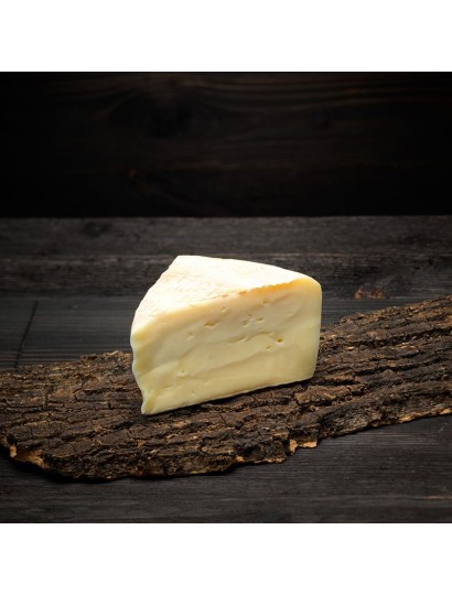 Dolomiti di malga - Typical italian cheese