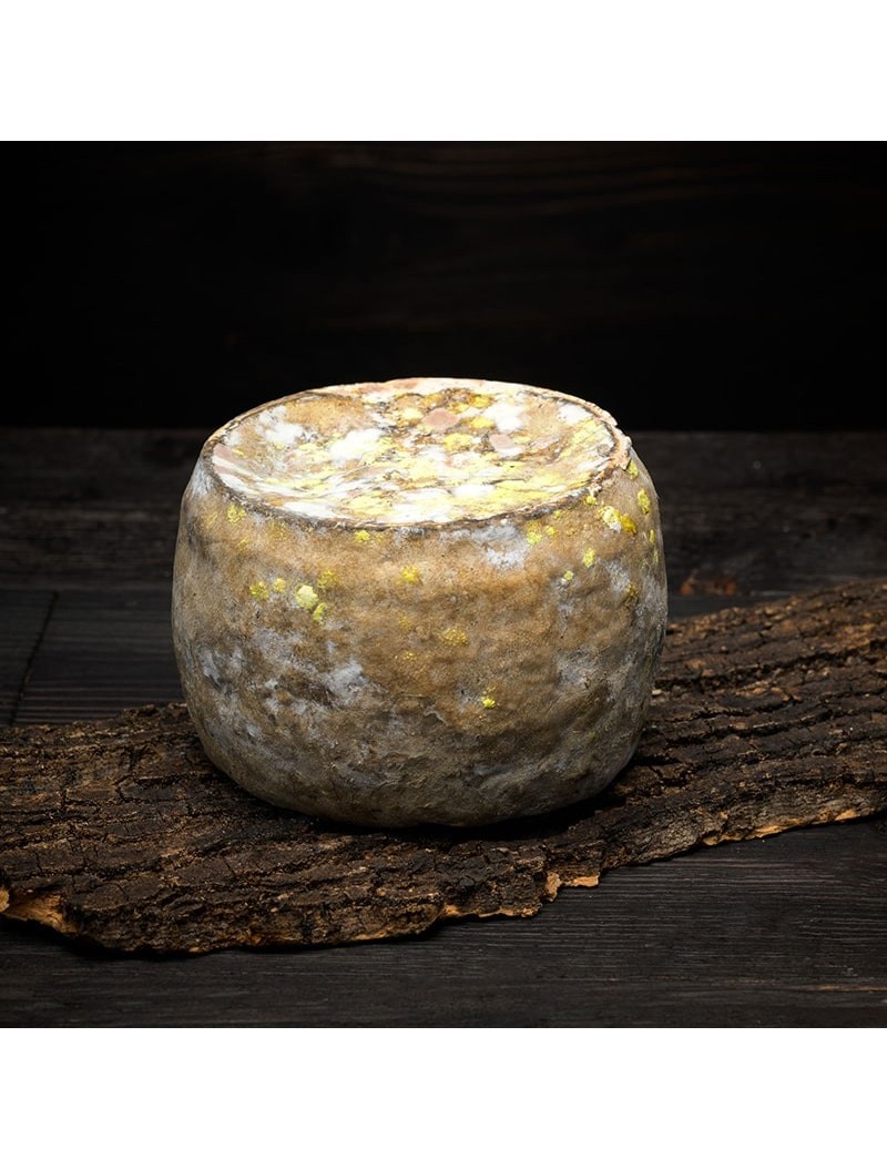 Tumin crota cheese - Cave-aged cheese