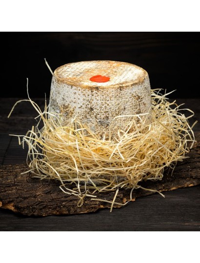 Cappello del mago - Traditional Piedmontese goat cheese