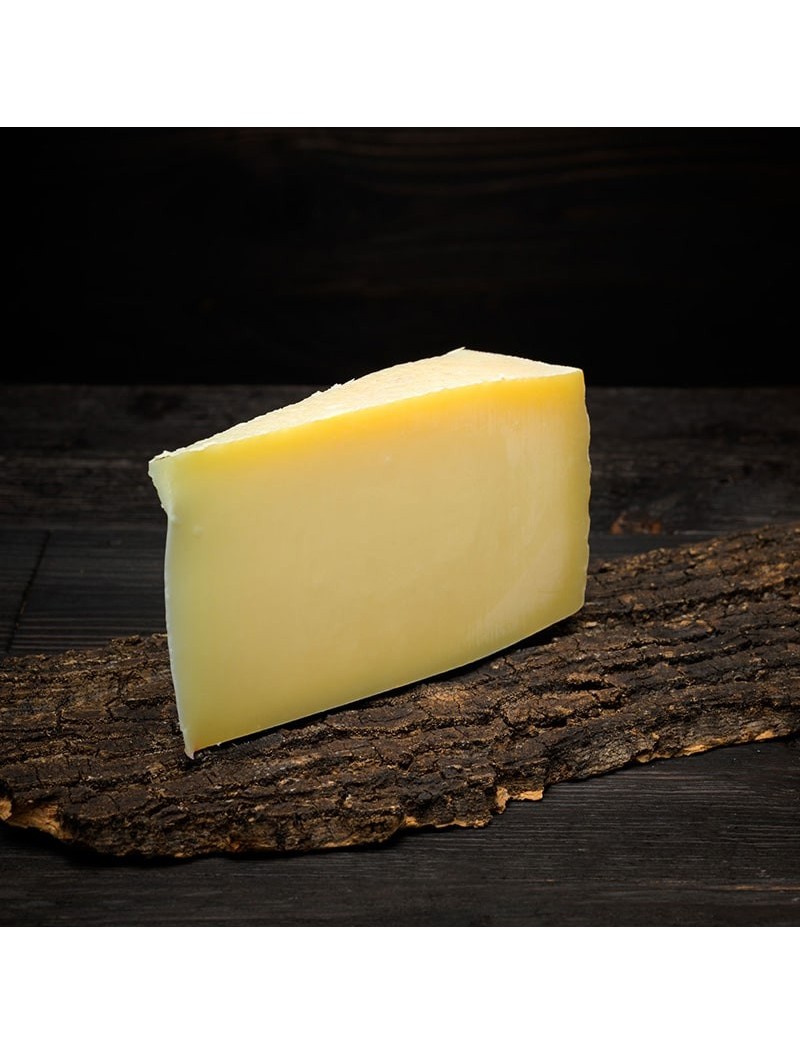 P.D.O. Piave mezzano cheese