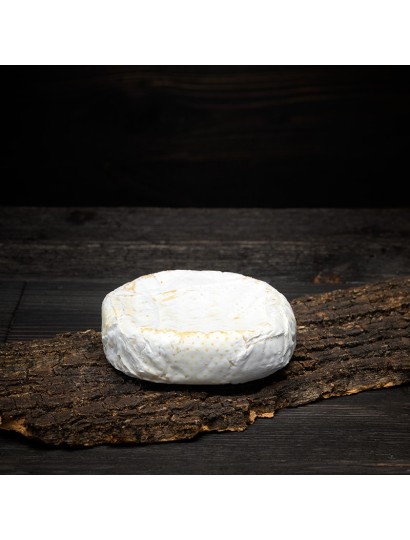 Camembert di bufala